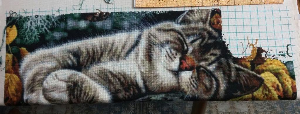 attachment.php?attachmentid=197194&d=1517468181&thumb=1