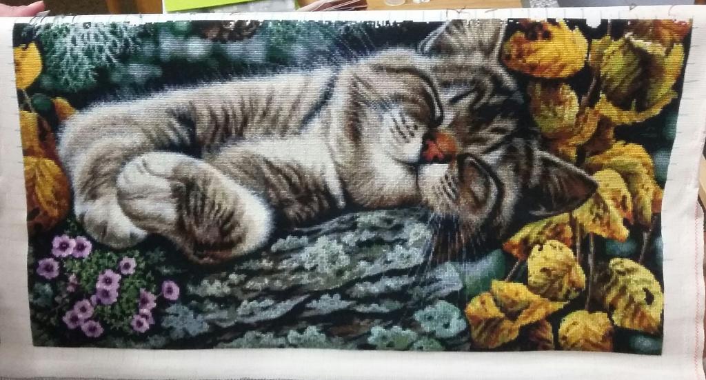 attachment.php?attachmentid=197799&d=1522183593&thumb=1