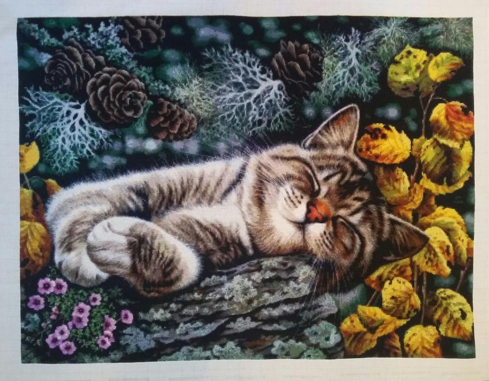 attachment.php?attachmentid=199329&d=1534161767&thumb=1