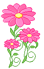 35226e89f17147495963c3547ac98778.gif