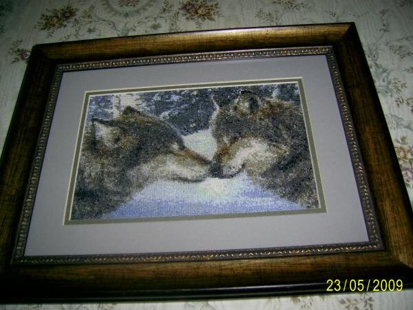 Пара волков!