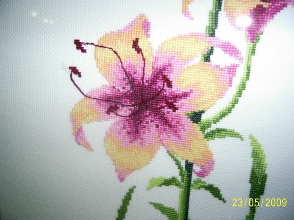 Лилии фрагмент