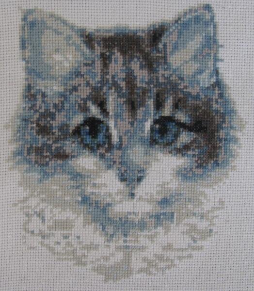 Портрет кота