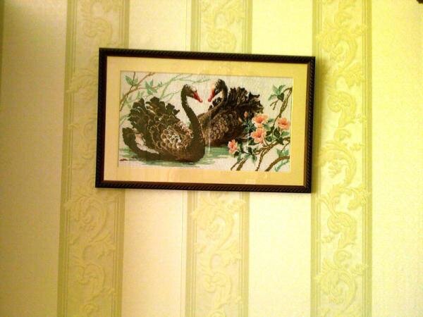 Чёрные лебеди