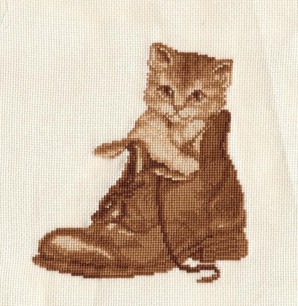 котёнок