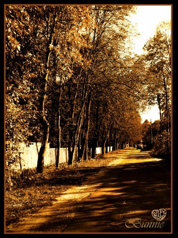 осенний пейзаж