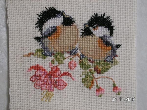 Птички на фуксии