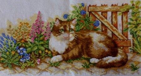 еще не оформлен