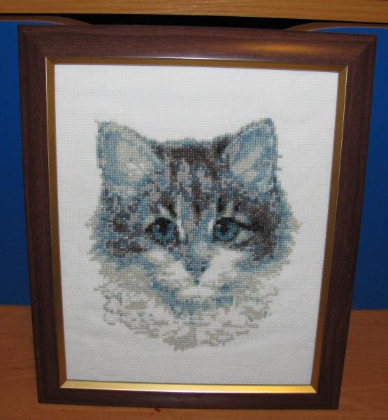 Вот, наконец-то, я его "одела" в рамочку.