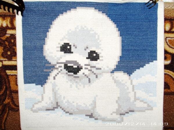 фотографии 030