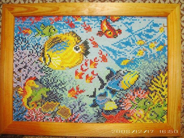 подводный мир