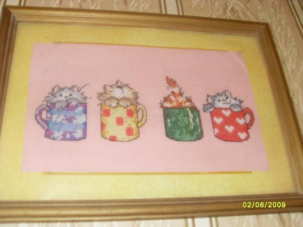 котики в бокальчиках