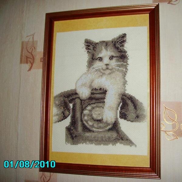 Котенок на телефоне