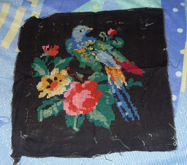 райская птица