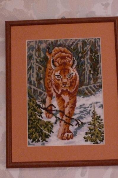 Рыська, хотя все зовут тигрой....