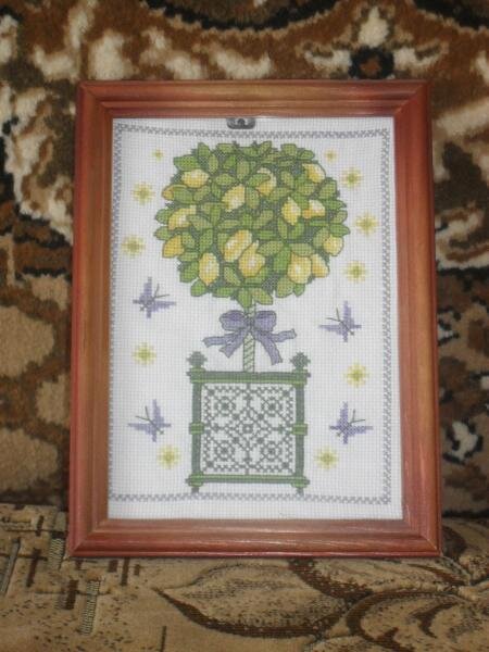 Лимонное деревце.