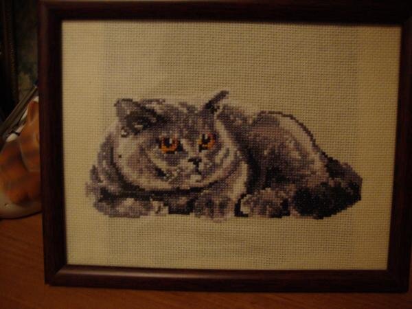 очень понравился котейка!