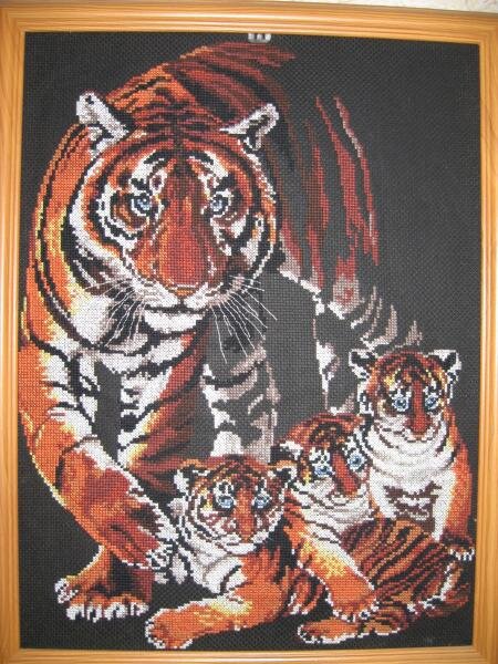 тигриное семейство