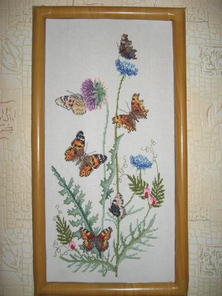 бабочки и чертополох