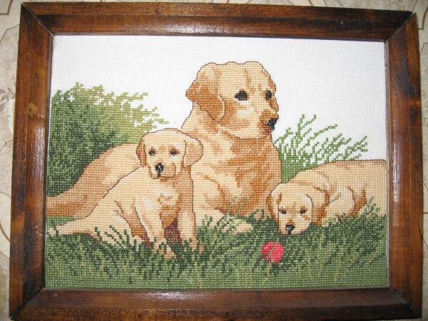 семья лабрадоров