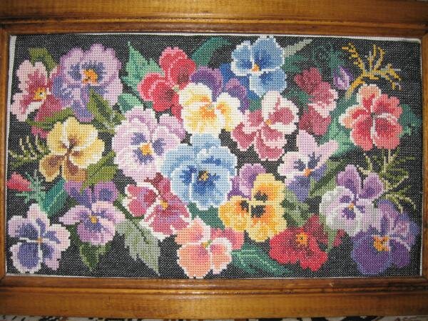 анютины глазки