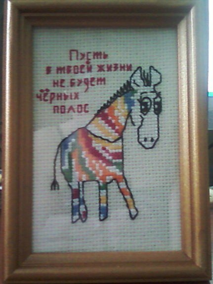 эта зЮбра теперь живет у подружки.....