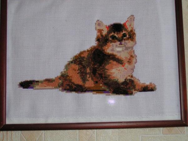 Киса по схеме из инета. Вторая моя работа - тоже экспериментальная. Нитки из запасов с распродажи, неизвестного производства, почти даром, и из остатков от наборов сестры (от РИОЛИС), так что киса пол