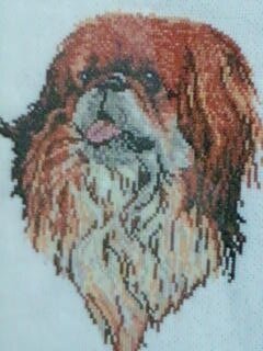 Фото 0020 Портрет любимой собаки.