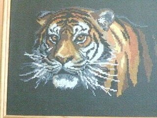 Фото 0027 Мой первый тигр.