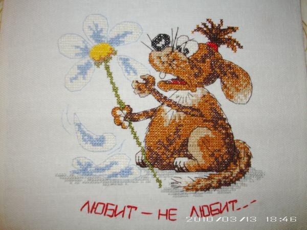 Любит - не любит!..