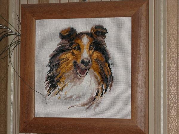 Ностальгия по бывшей моей собаке.