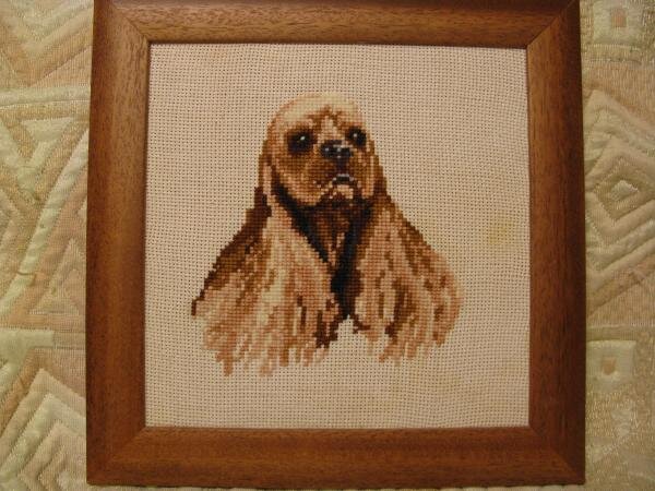 А эта порода мне просто очень нравиться