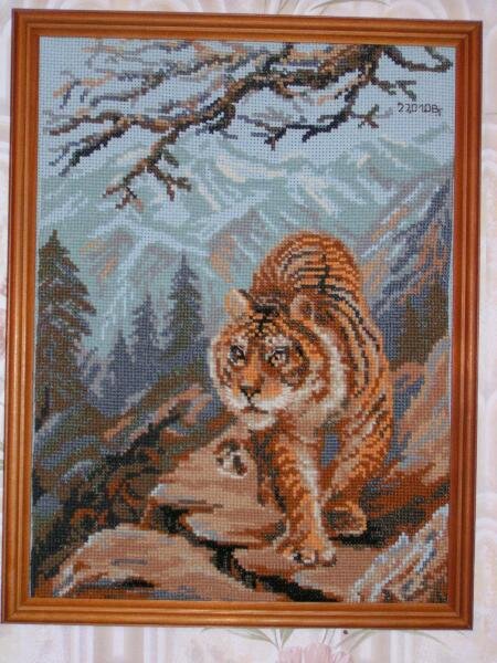Тигр. Третья работа. Канва крупная, вблизи не очень нравилось. Но на стене смотрится очень красиво. Подарила маме (она рождена в год тигра), но висит пока у меня.