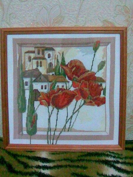 Городские цветы5