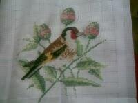птичку вышивала для робина