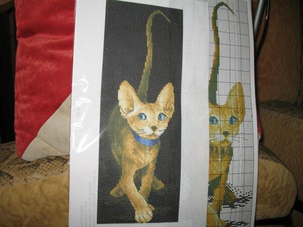ну как пройти мимо - это же почти портрет моего котика :) Будет ему подарок :)))