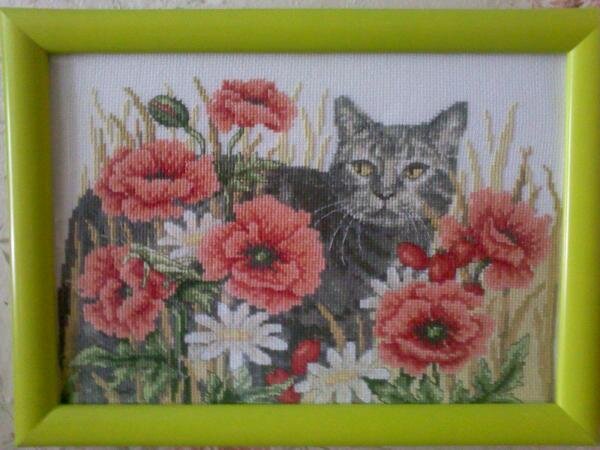 Подарок на 8 марта!