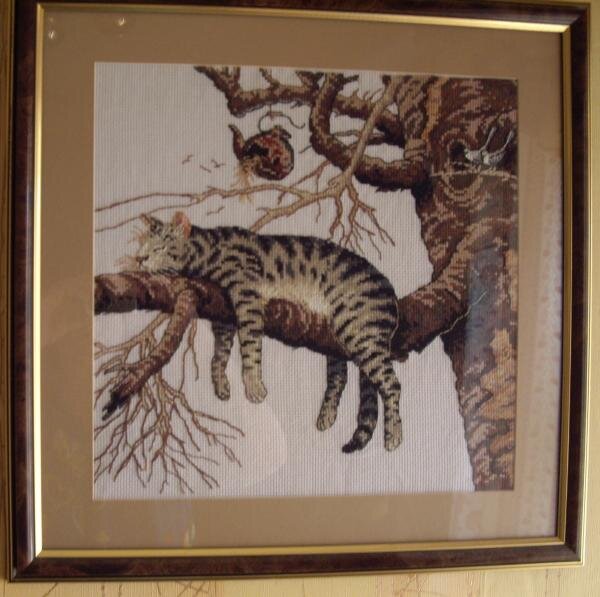 IMGP6096 куда ж такой кошатнице как я без этого кота :)