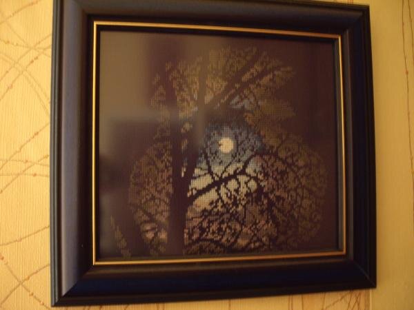 IMGP6097
самая любимая, не знаю почему