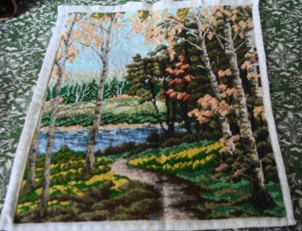 Берези осінню