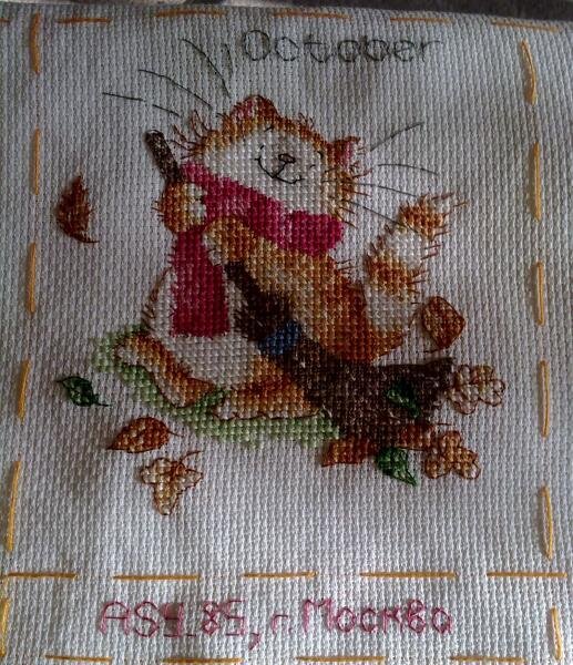 октябрьский котик от МШ