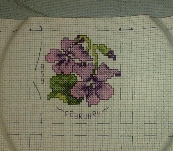 цветочный календарь, февраль