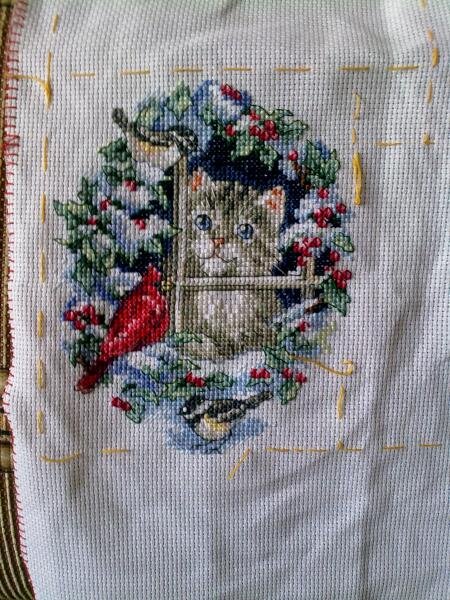 киска в окошке