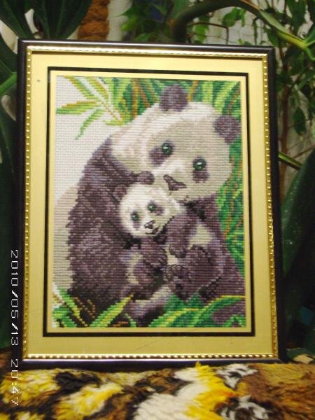 Мои долгожданные панды