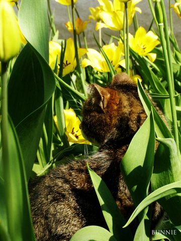 в засаде 2)))