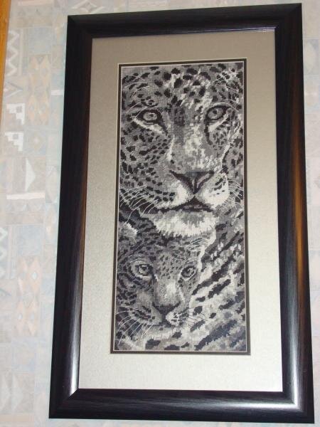 мои любимчики