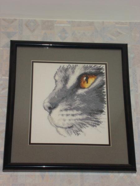 зоркий глаз