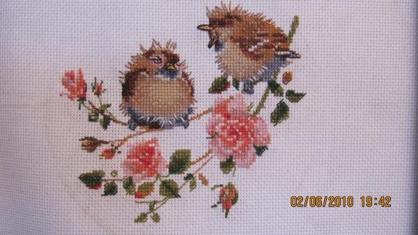 Воробьи на розах