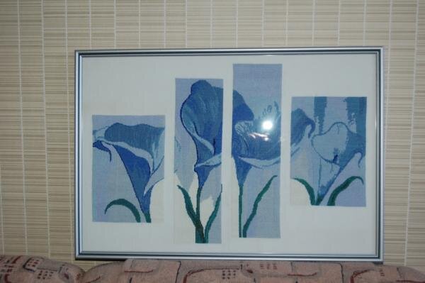 Голубые Каллы