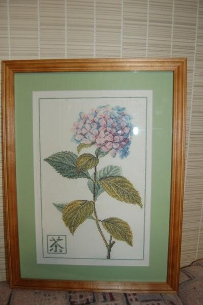 Гортензия 1